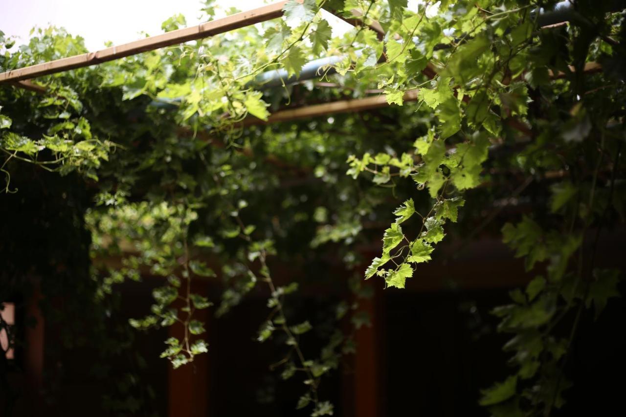 Auberge Jaafar Midelt Buitenkant foto